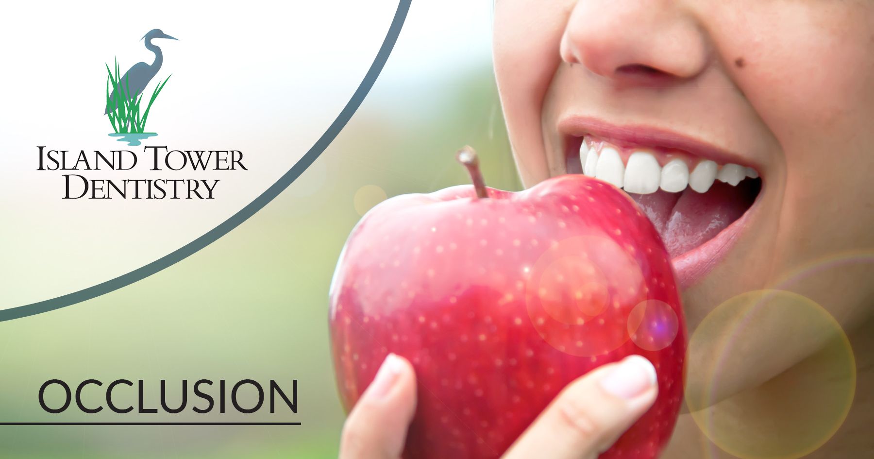 occlusion and oral health